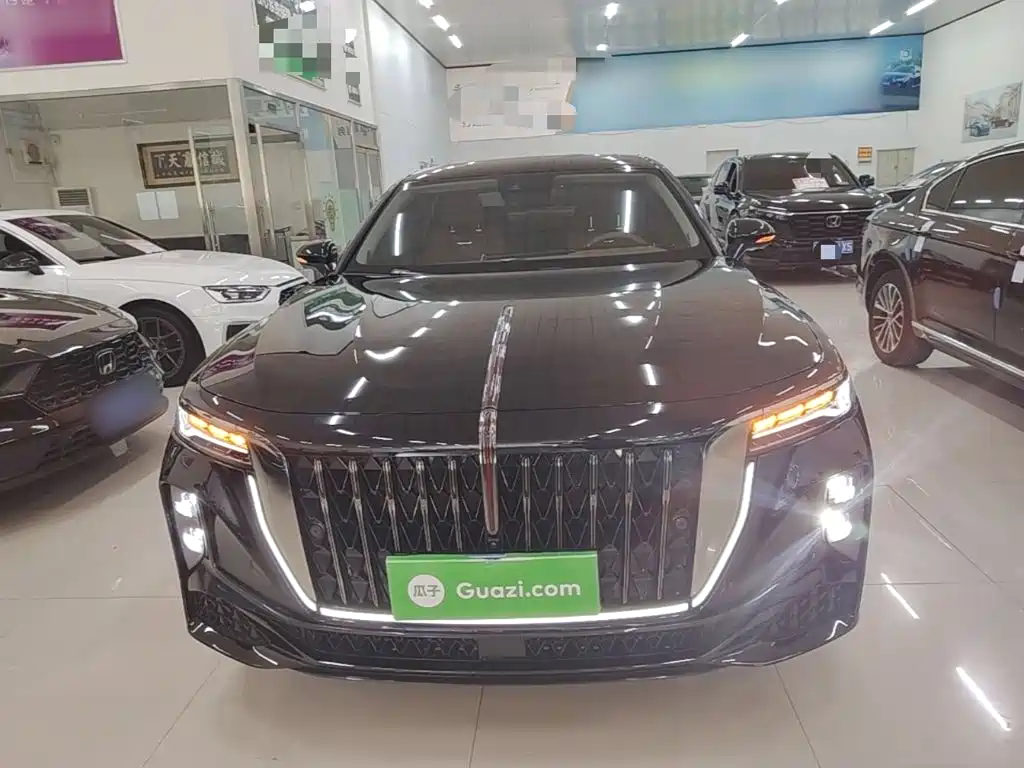 Hongqi H9 2025 2024 2.0T Qi Enjoy Private Fashion Edition