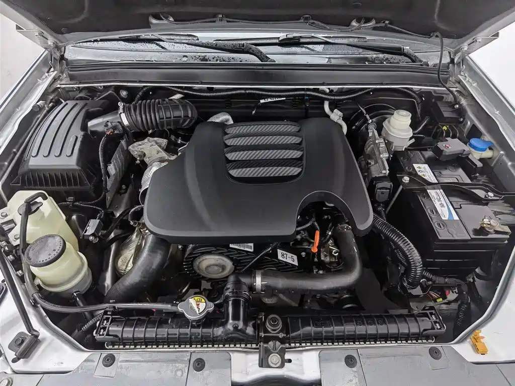 GREAT WALL FENGJUN 5