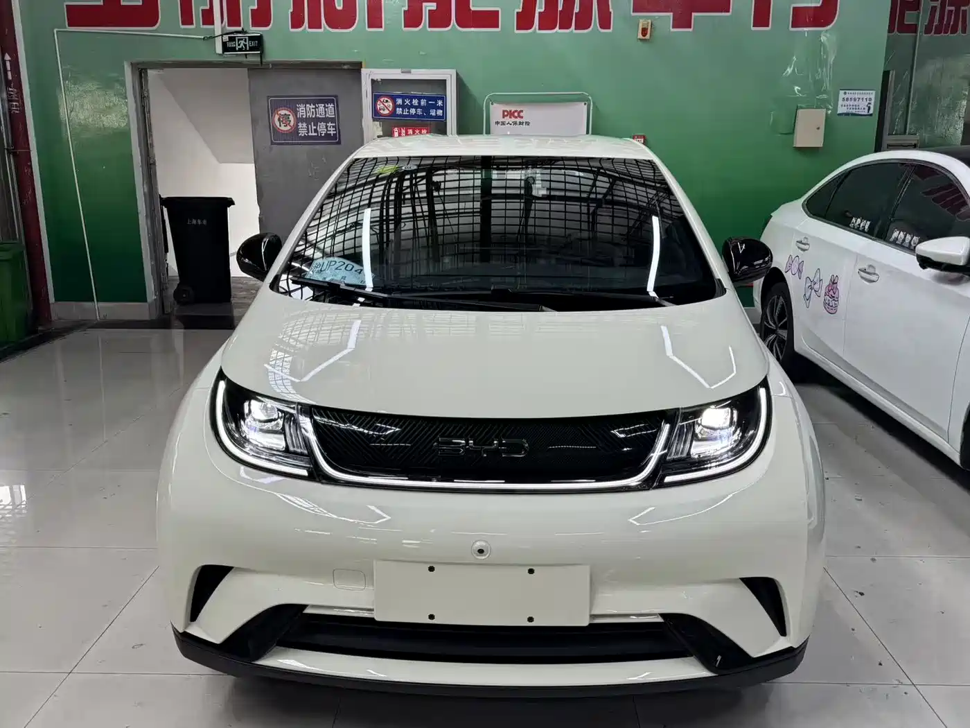 BYD Dolphin 2025 420km Freedom Edition фото 2