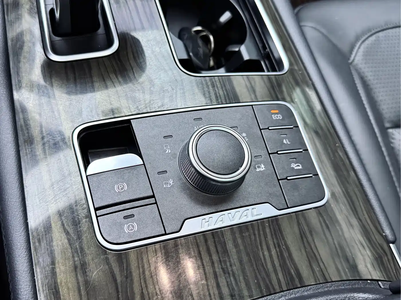 HAVAL H9