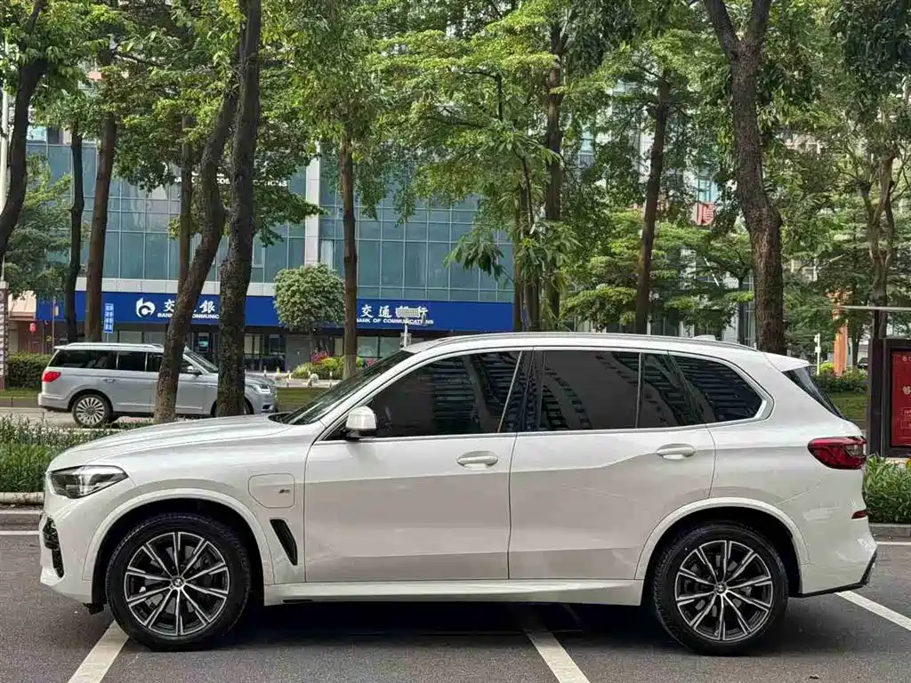 BMW X5 New Energy(Imported) 2020 xDrive45e M Sport Package фото 2