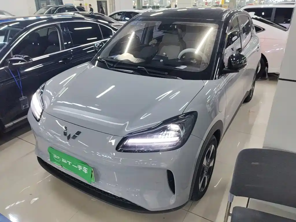 Wuling Motors Wuling Binguo PLUS 2025 2024 Model 330km 5-Seater