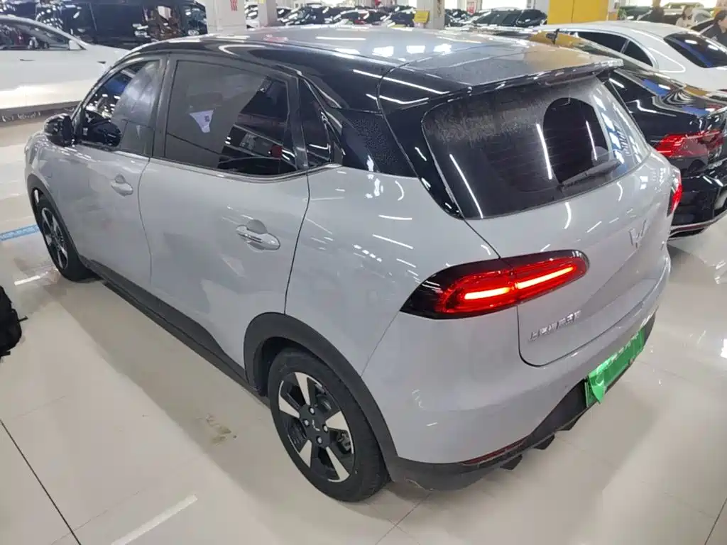 Фото 5 - Wuling Motors Wuling Binguo PLUS