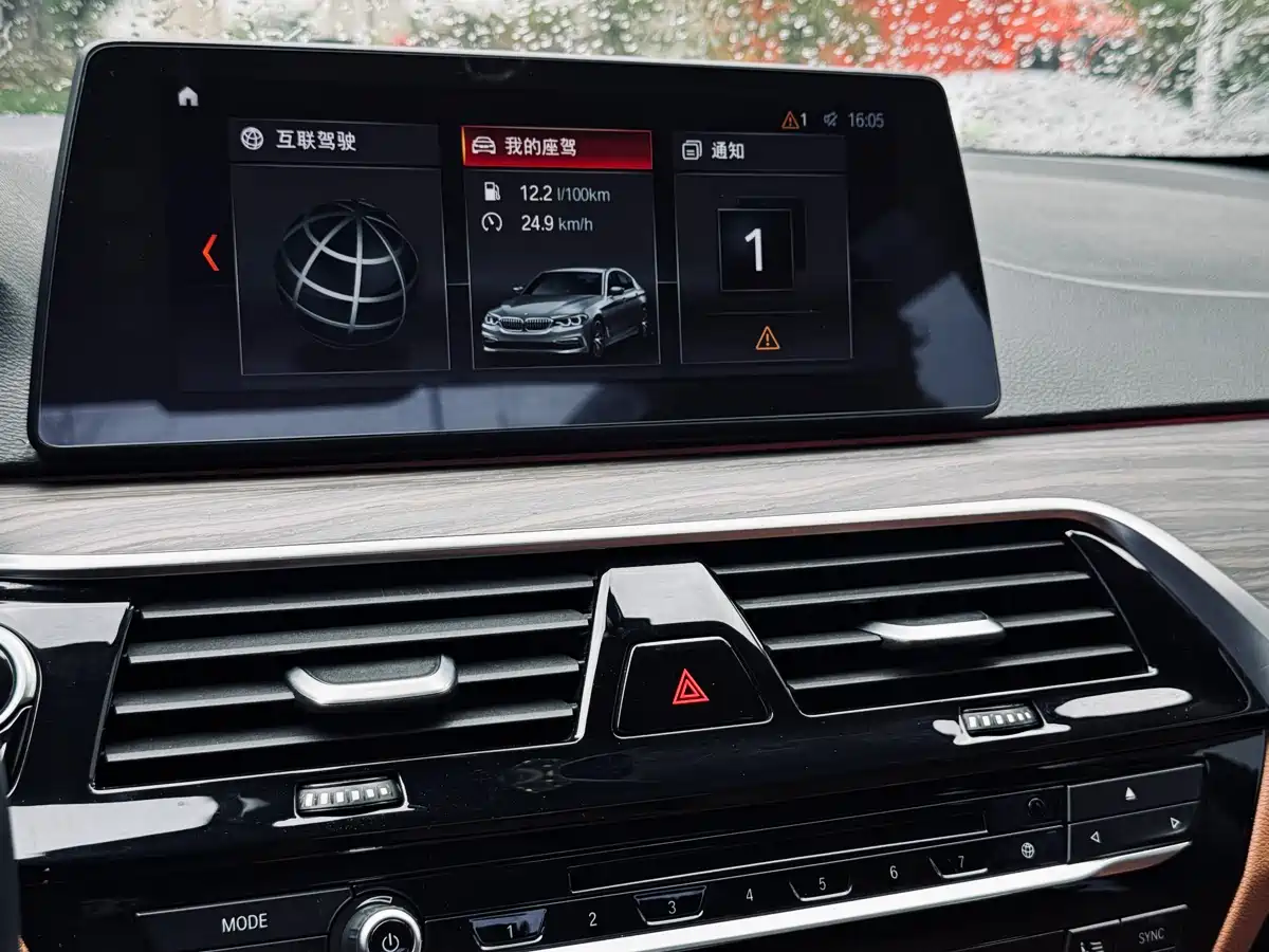 BMW 5 Series 2018 530Li Leading Luxury Package фото 32
