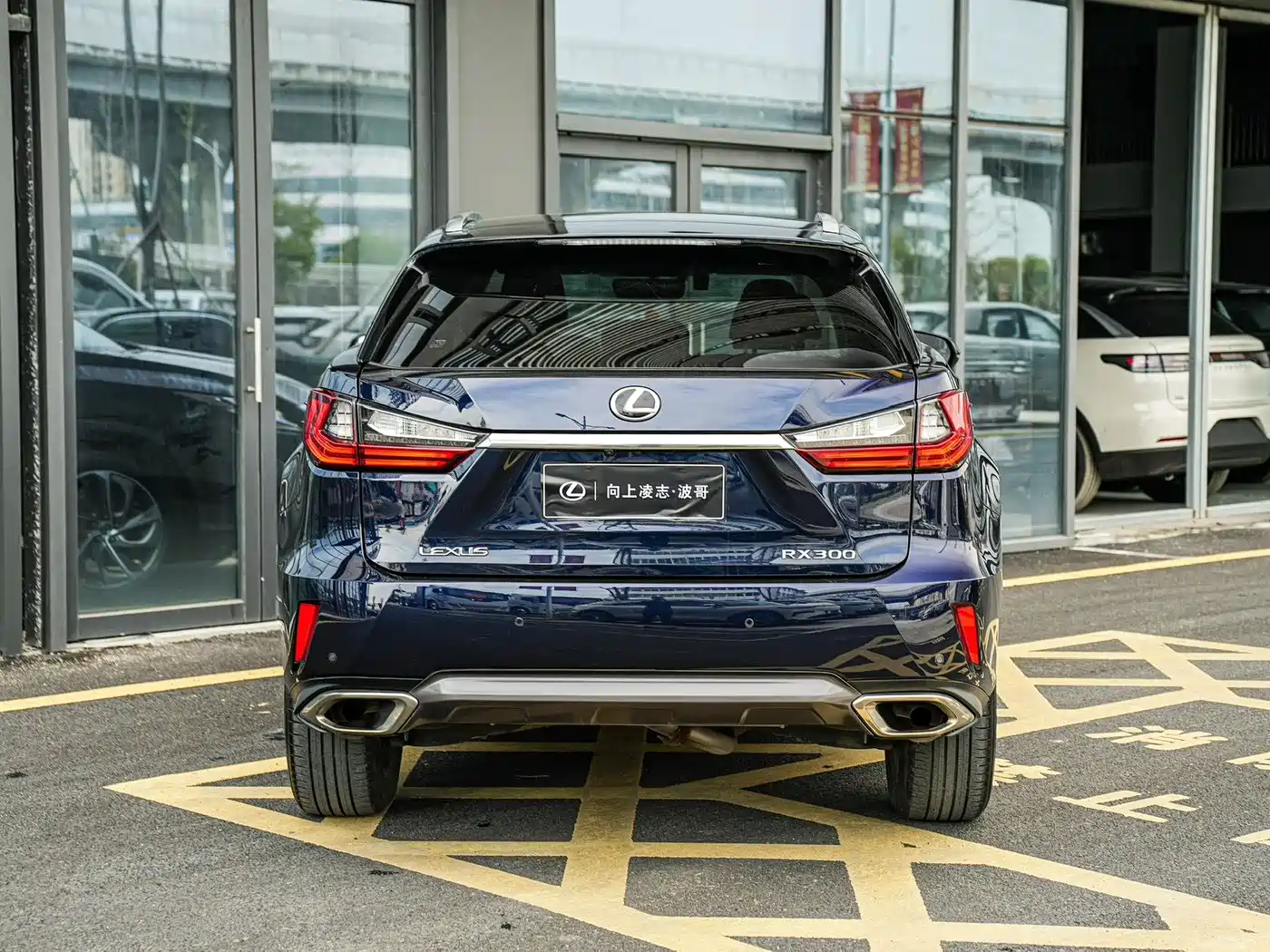 Lexus RX 2016 300 4WD Elegance Edition China VI фото 5