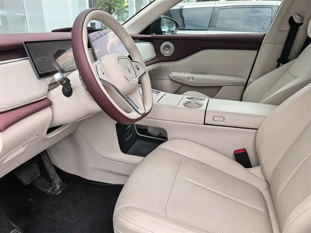Voyah Auto Voyah Zhiyin 2025 Base фото 13
