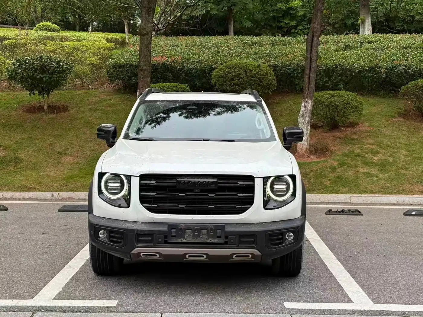 Haval Dargo 2020 2021 1.5T DCT 2WD Border Collie Edition