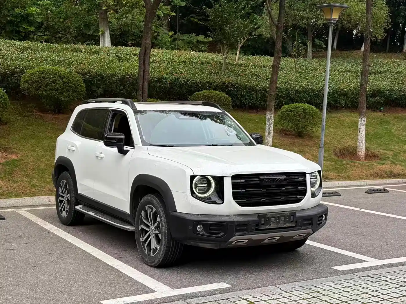 Haval Dargo 2020 2021 1.5T DCT 2WD Border Collie Edition