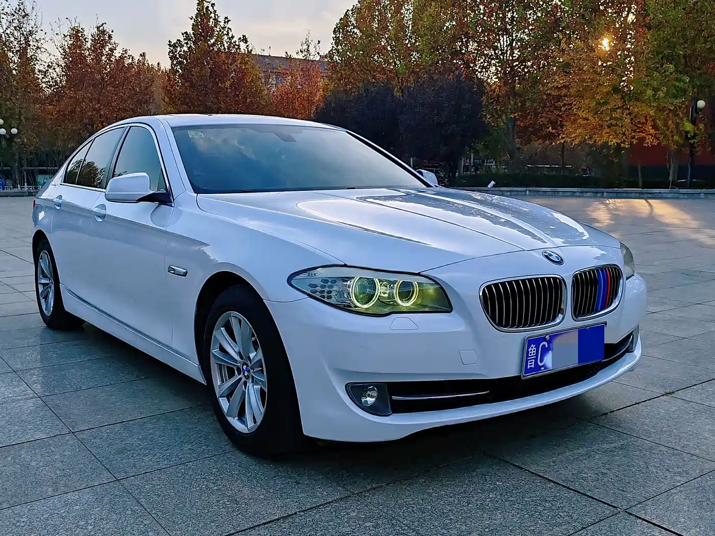 BMW 5 Series 2013 520Li Elegance фото 5