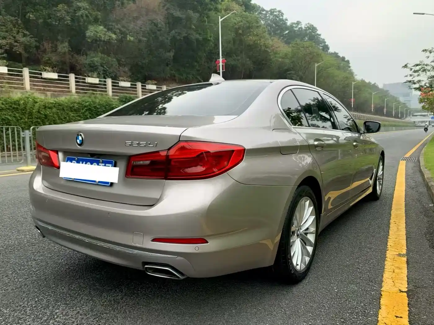 BMW 5 Series 2019 525Li Luxury Package фото 8