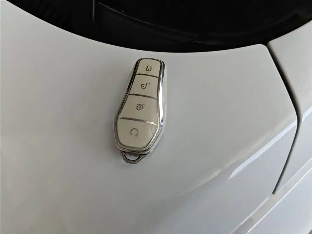 BYD Yuan Pro 2021 401KM Premium Model фото 9