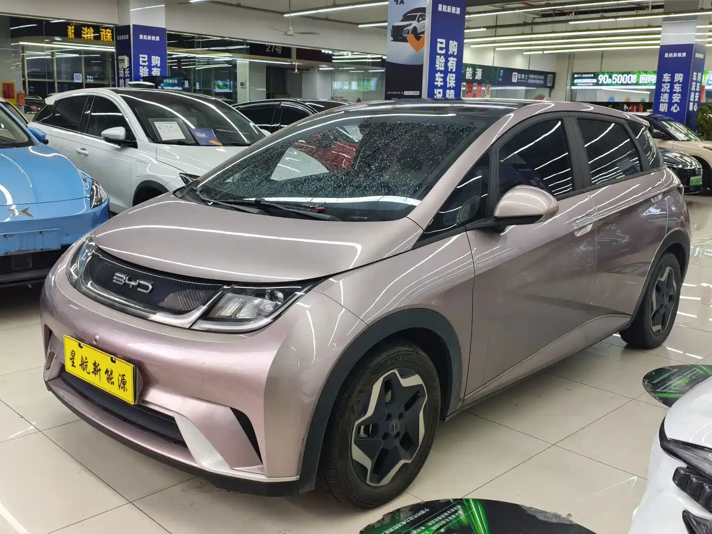 BYD Dolphin 2022 2021 Model 405km Fashion Edition
