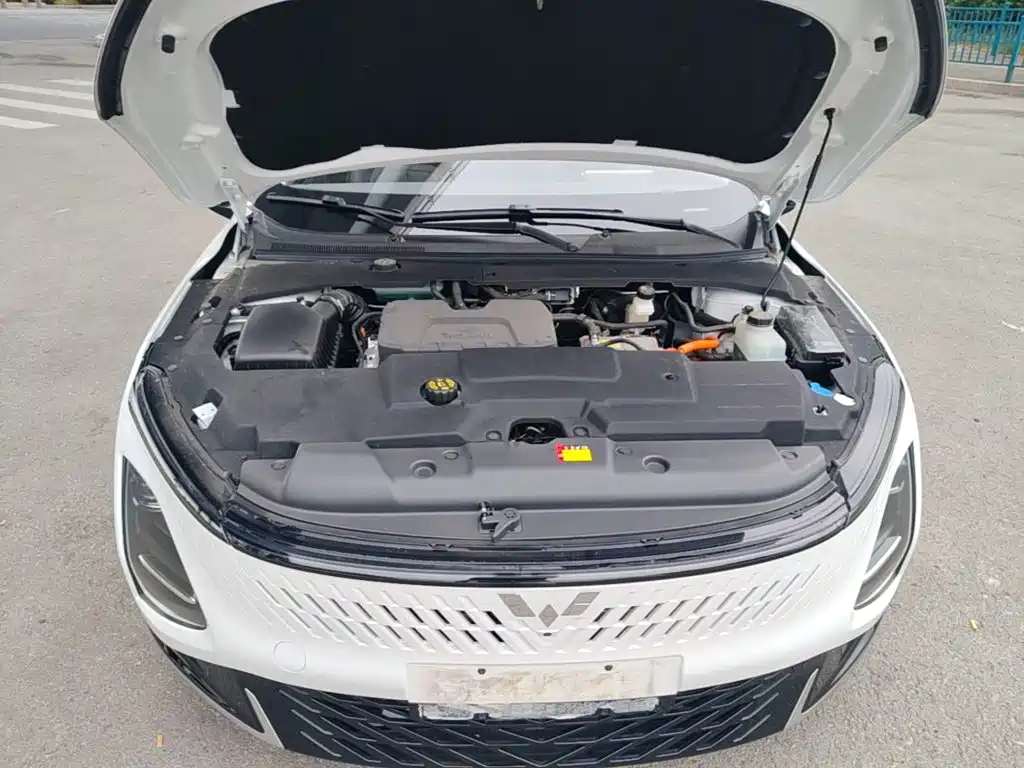 Photo 20 - Wuling Motors Wuling Xingguang