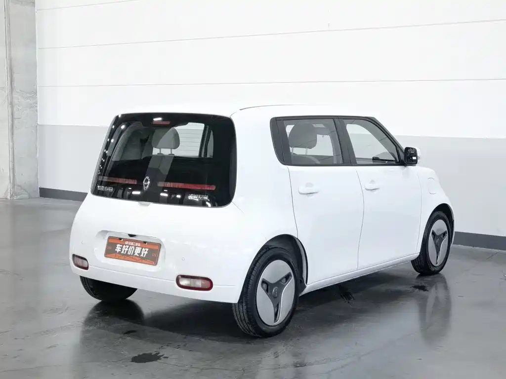Ora White Cat 2021 2020 360km Luxury Model