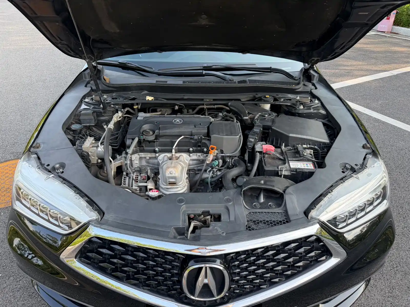Фото 20 - Acura TLX-L