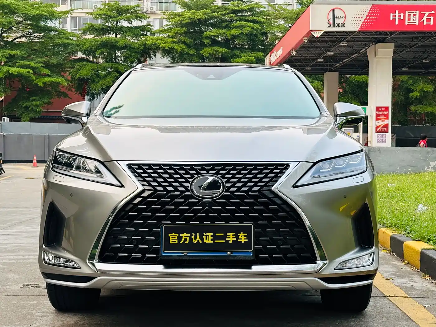 Lexus RX 2020 Facelift 300 AWD Elegance Edition фото 3