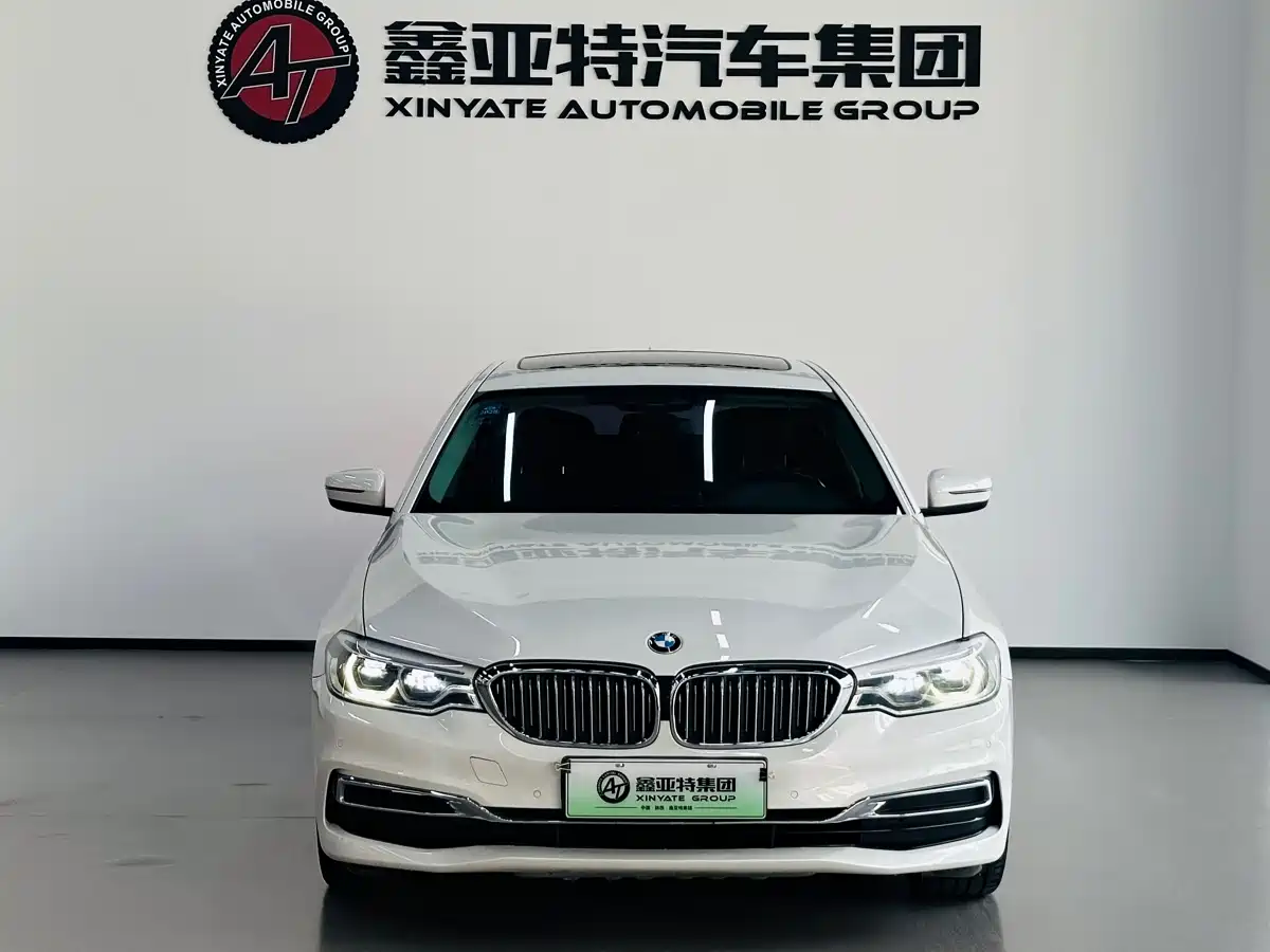 BMW 5 Series New Energy 2020 530Le Range Upgrade Luxury Package фото 2