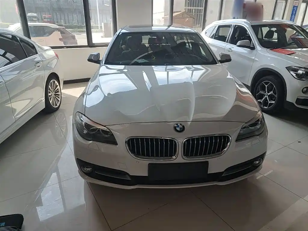 BMW 5 Series 2014 520Li Elegance фото 3