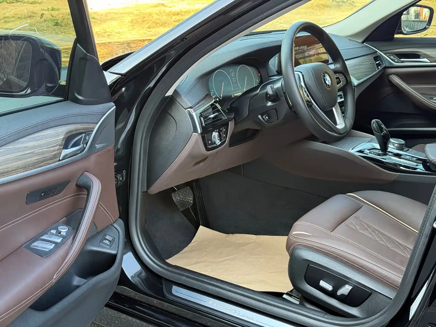 BMW 5 Series 2019 530Li Leading Luxury Package фото 8
