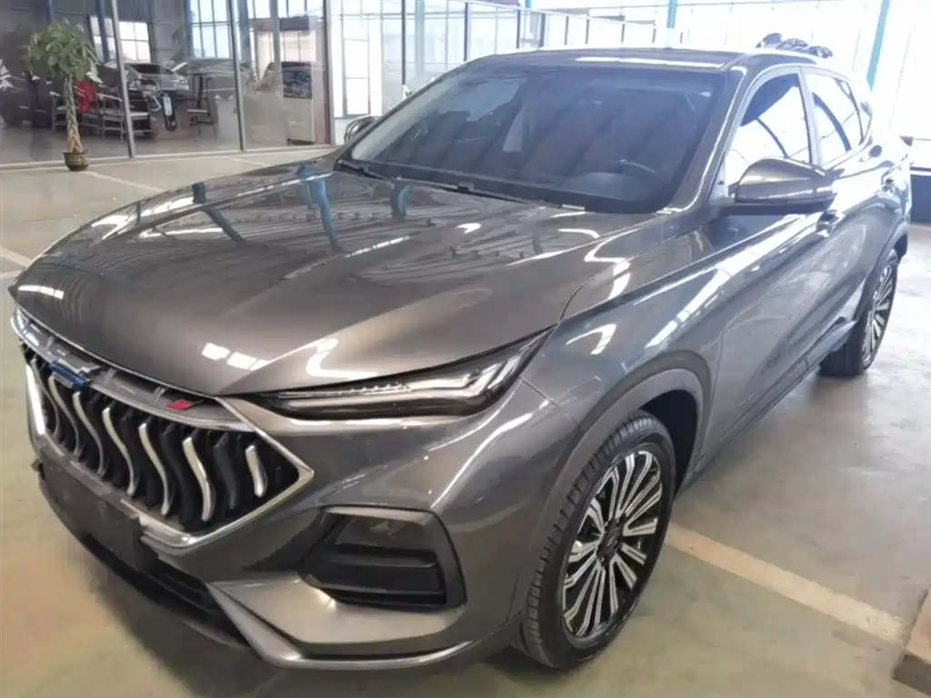 Changan Oshan Changan Oushang X5 2021 1.5T DCT Premium