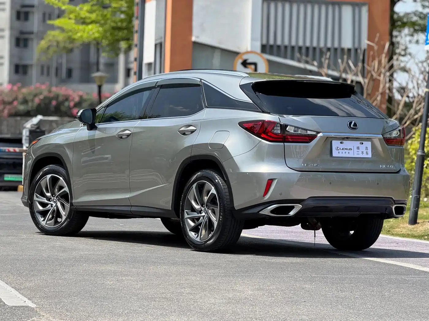 Lexus RX 2016 300 4WD Elegance Edition (China V) фото 4