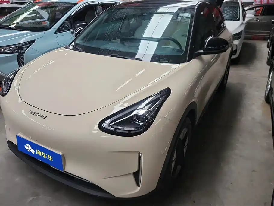 Geely Galaxy Starry Wish 2025 310km Dream Edition