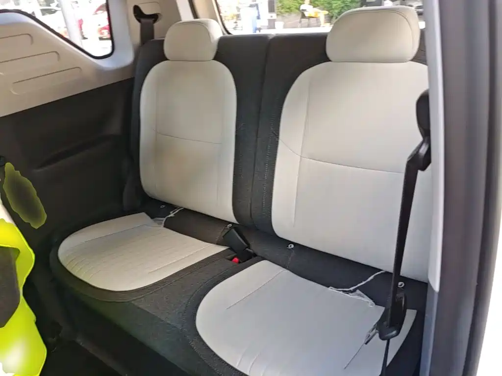 Geely Galaxy Panda 2026 2025 Panda mini 210km Vitality Bear