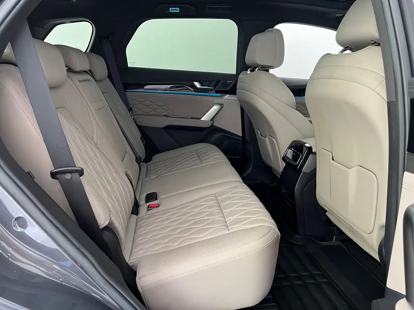 BYD Tang New Energy 2024 DM-p Champion Edition 215KM AWD Flagship фото 13