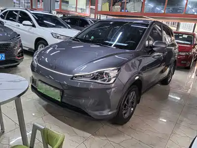 Neta V