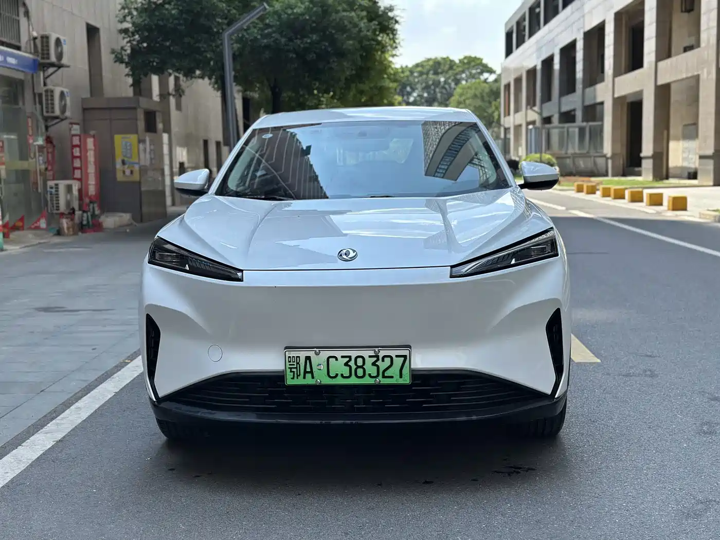 Dongfeng Aeolus SKY EV01 2024 2023 Model 445km PRO