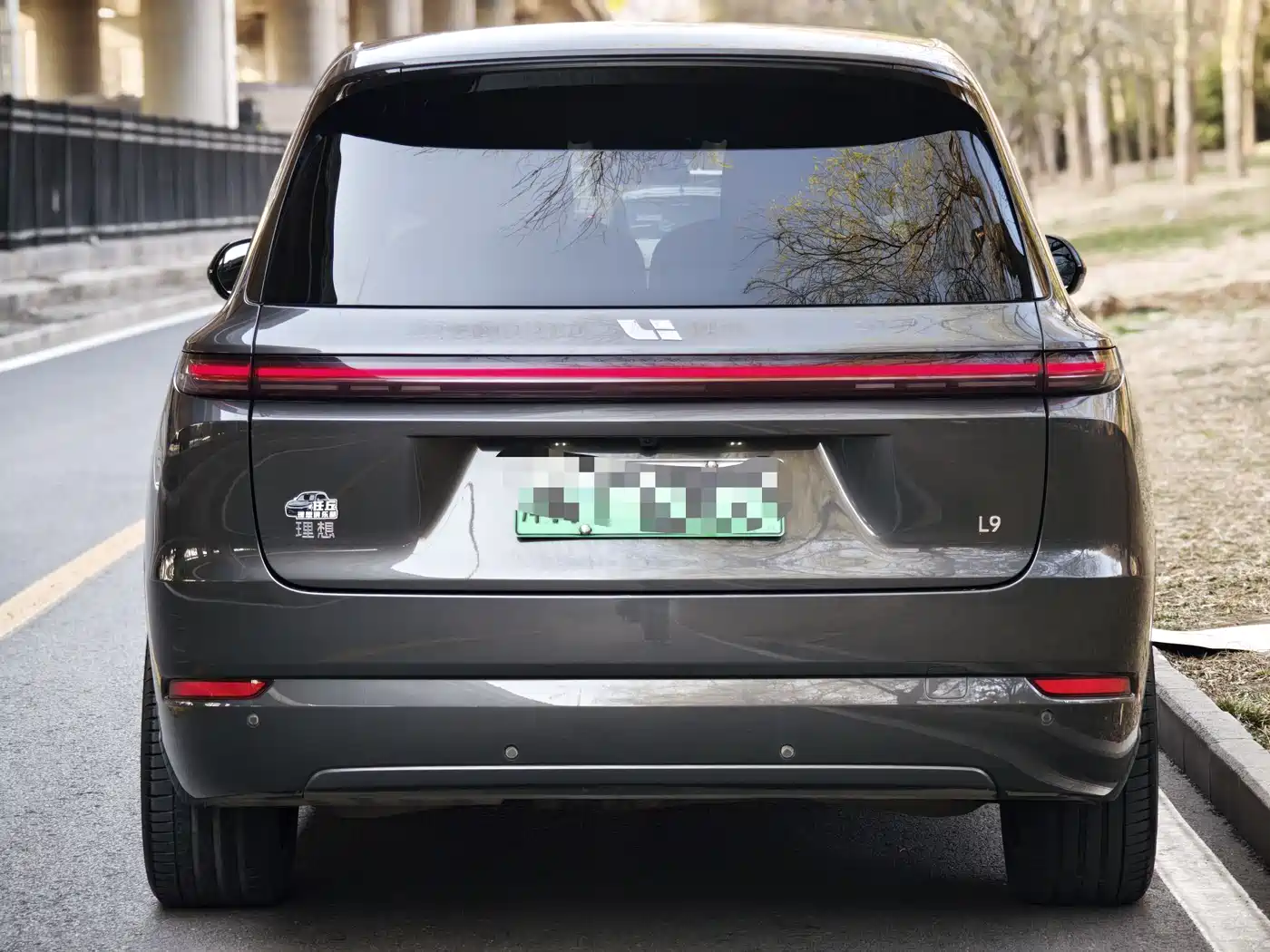 Li Auto IDEAL L9