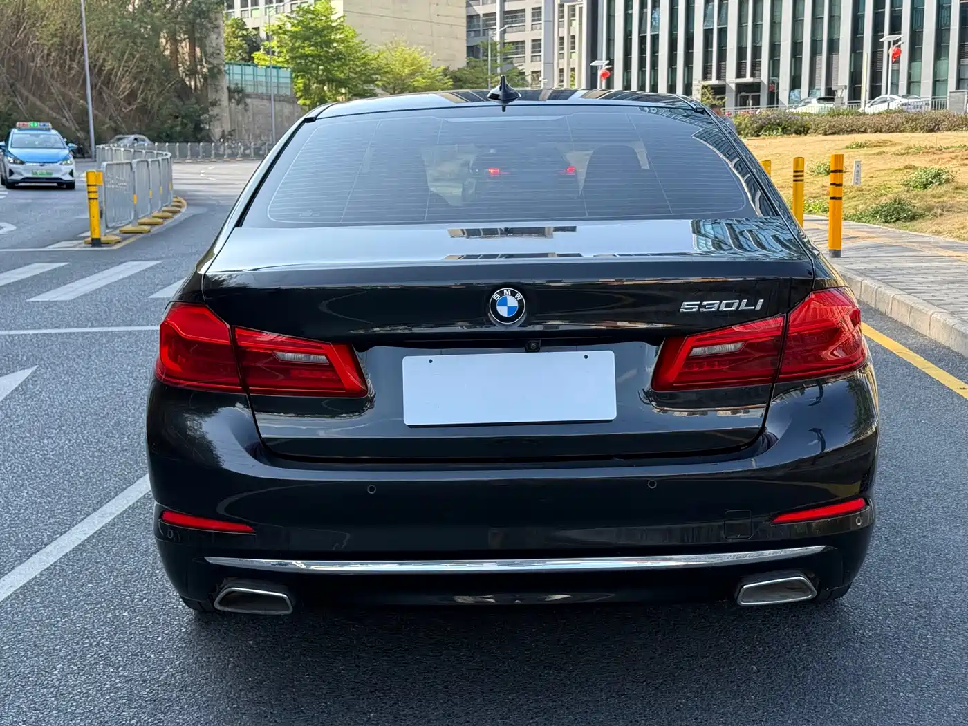BMW 5 Series 2019 530Li Leading Luxury Package фото 5