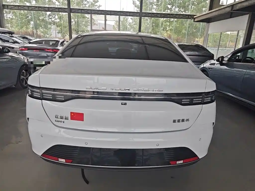 BYD Destroyer 05 2024 Glory Edition DM-i 55KM Luxury фото 6