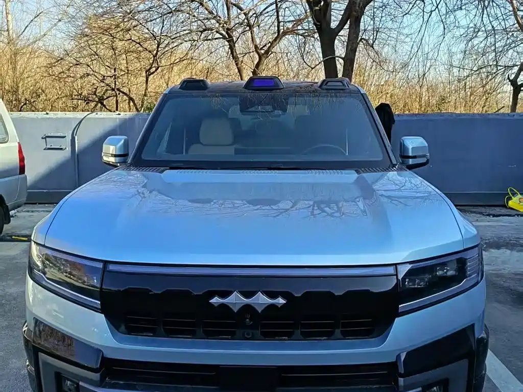 FANG CHENG BAO LEOPARD 8