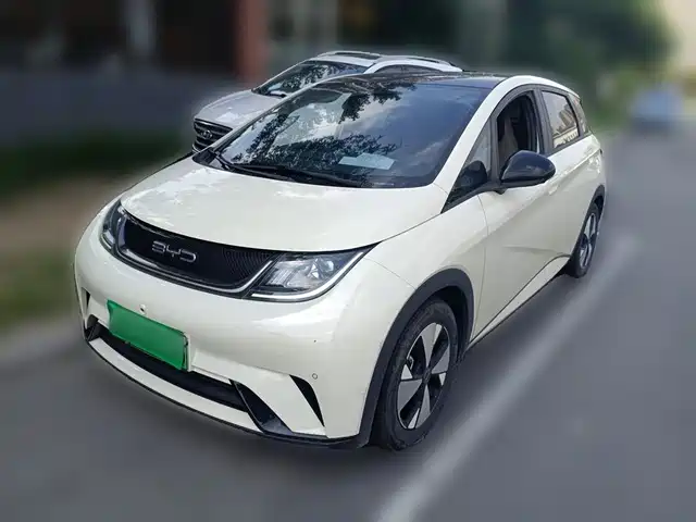 BYD Dolphin 420km, Стиль