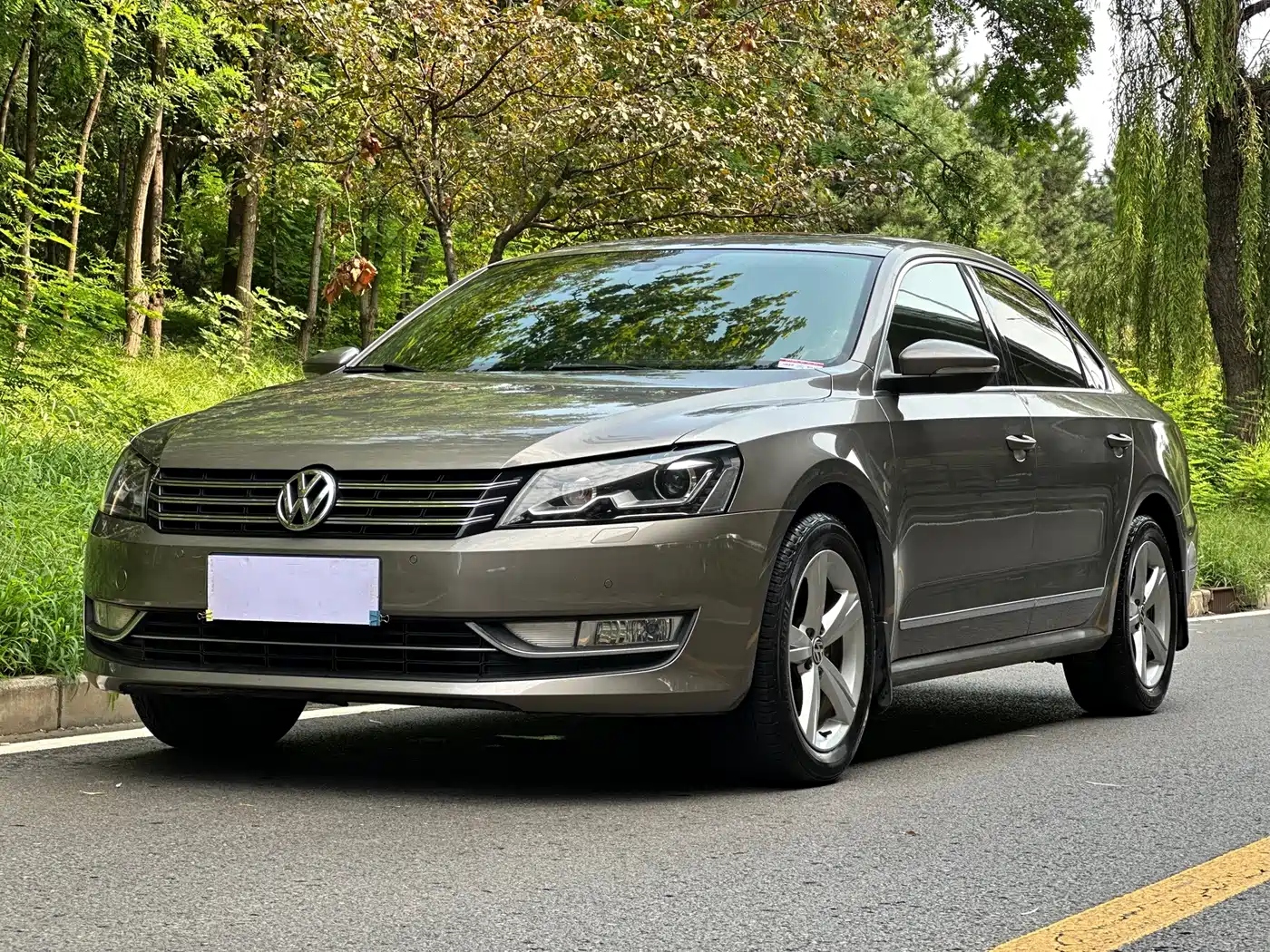 Volkswagen Passat 2013 2013 1.8TSI DSG Yuzun