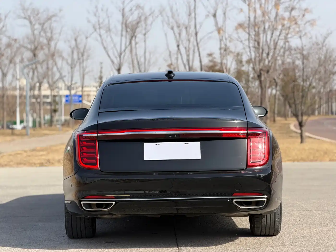 Hongqi HONGQI H9