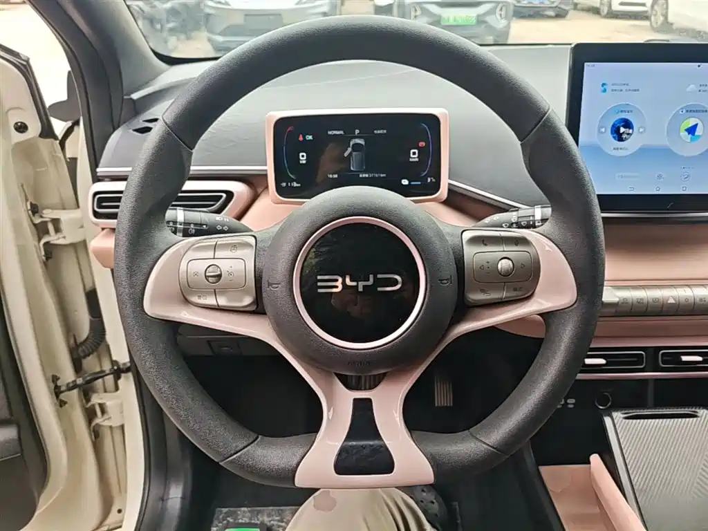 BYD Seagull 2024 Glory Edition 305km Vitality Edition фото 11