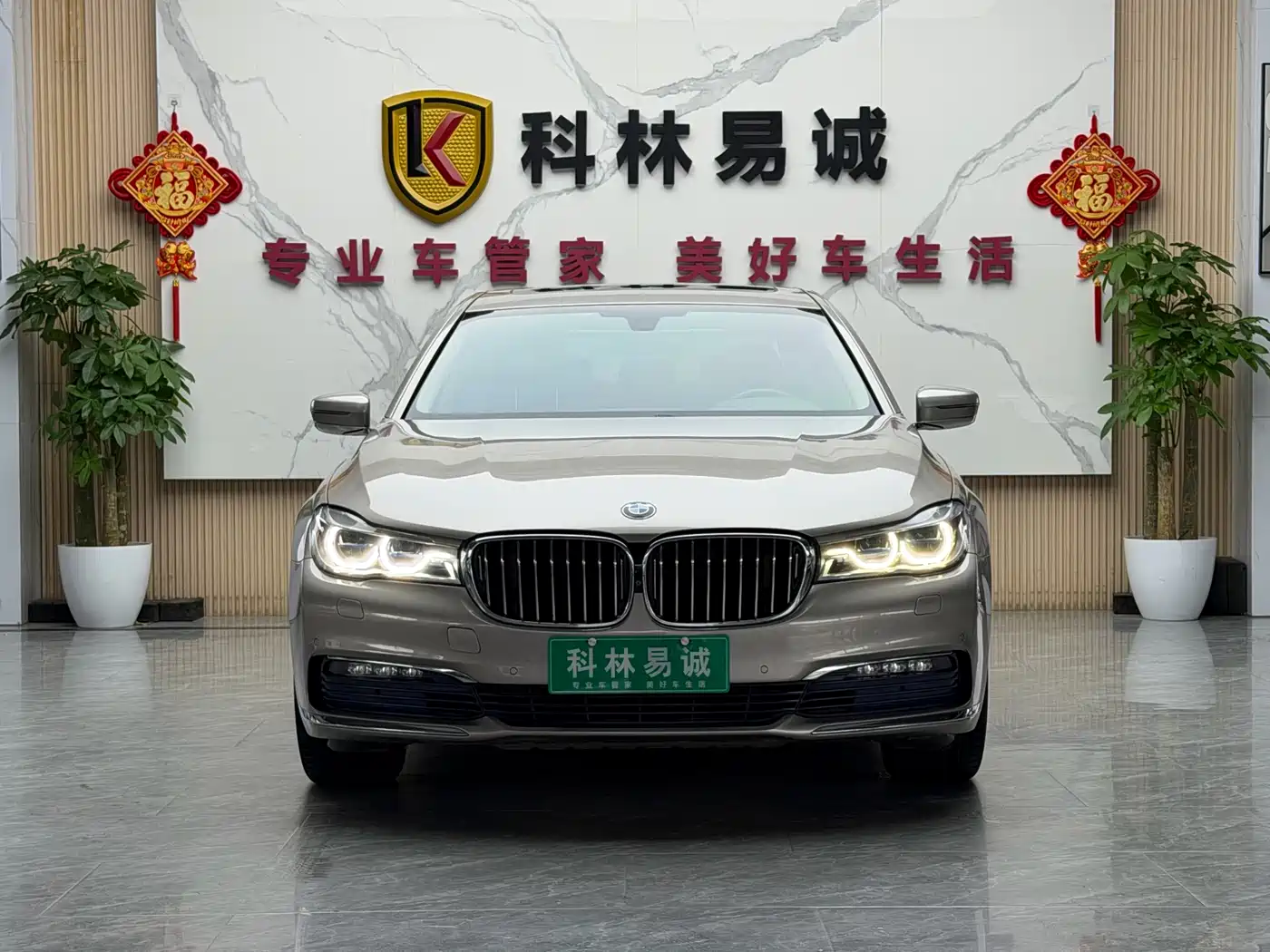 BMW 7 Series 2016 730Li Leading фото 2