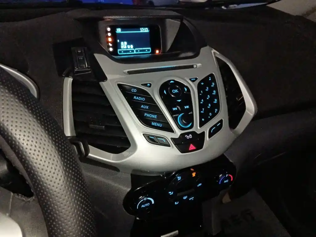 Фото 5 - Ford EcoSport