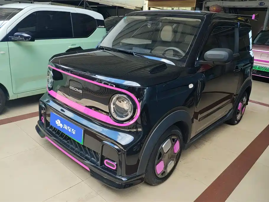 Geely Galaxy Panda 2025 Model Year 210km Panda Kart