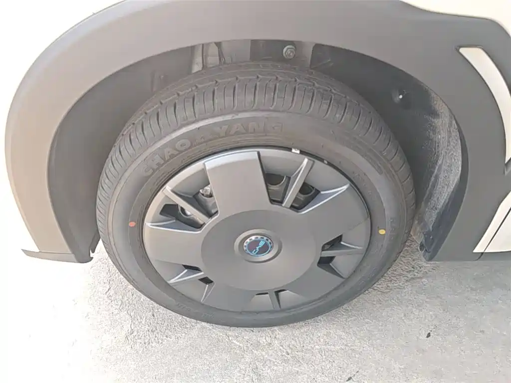 BYD Seagull 2025 Smart Drive Edition 305km Vitality Version фото 23