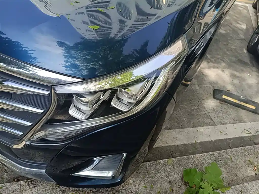 GAC Trumpchi Trumpchi M8 2020 Pilot 390T Prestige Edition фото 24