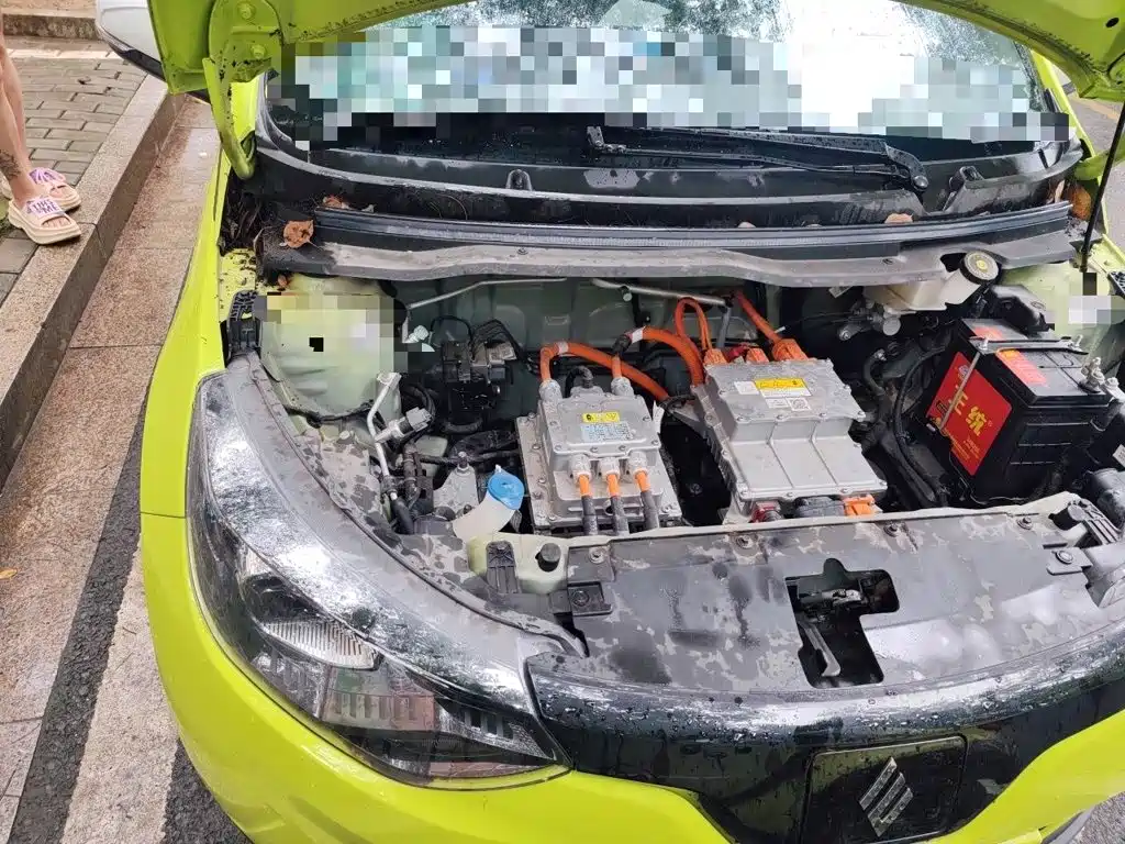 JMCG New Energy Little Kirin 2024 2023 Model Lucky Edition 201km Comfort