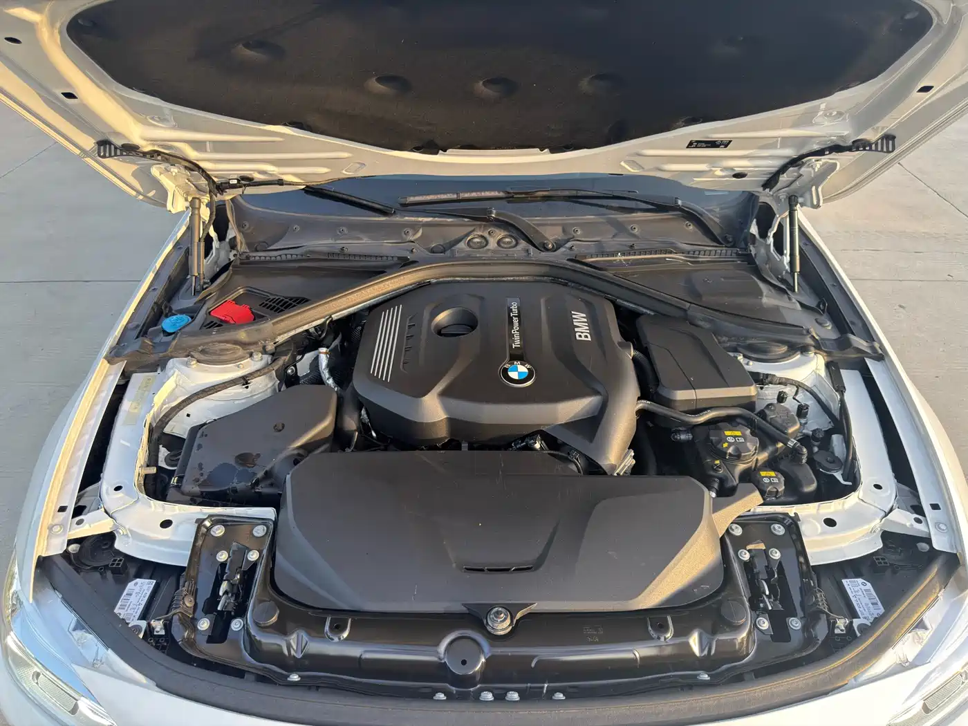 BMW 3 Series 2019 320Li Fashion Type фото 19