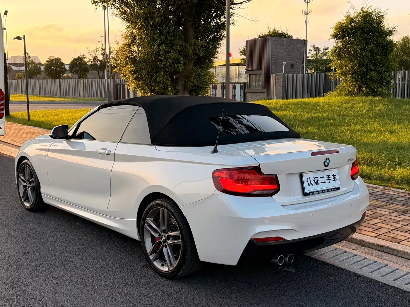 BMW 2 Series (Import) 2018 225i Convertible Coupe M Sport фото 5