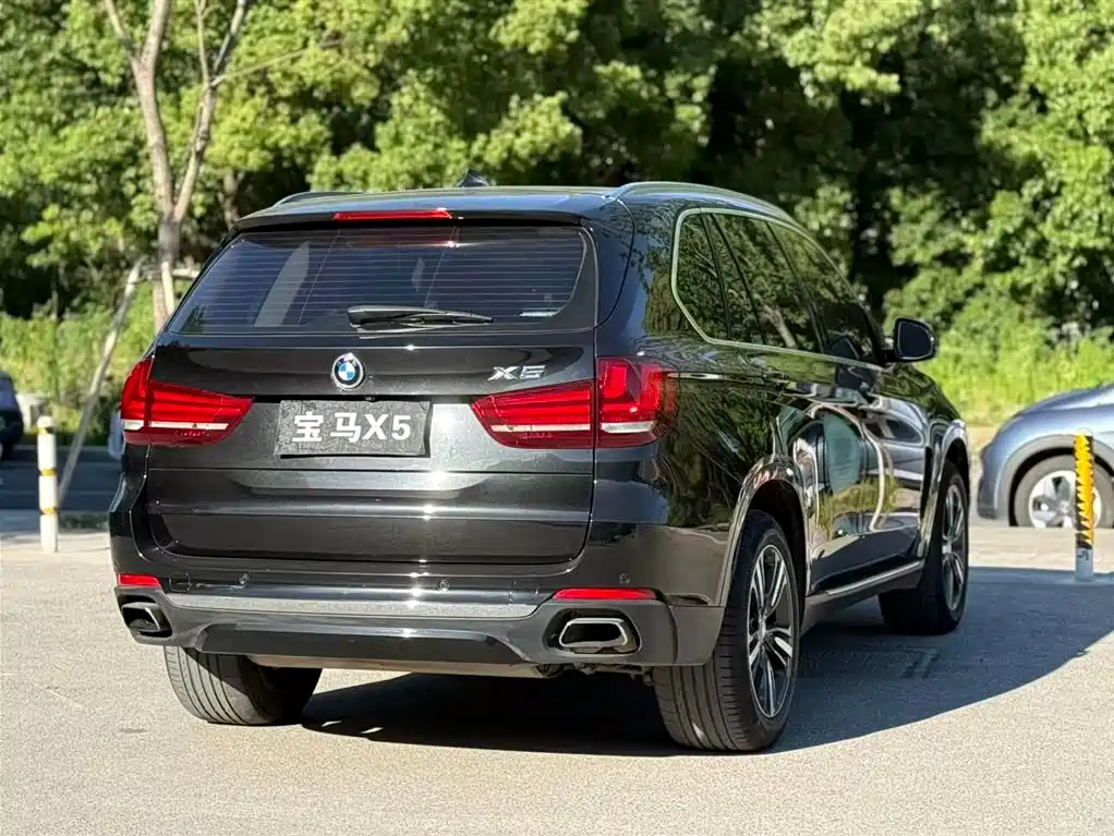 BMW X5 (Import) 2017 xDrive35i Elegance фото 4