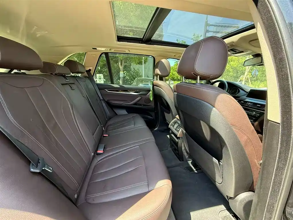 BMW X5 (Import) 2017 xDrive35i Elegance фото 16