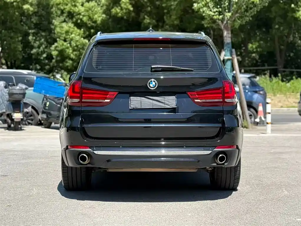 BMW X5 (Import) 2017 xDrive35i Elegance фото 5