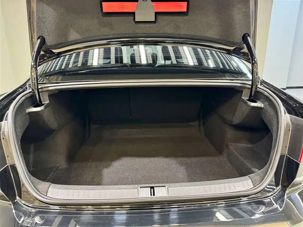 Volkswagen Magotan 2025 Popular Edition 330TSI DSG Luxury фото 12